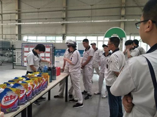 軟質車間 粽香傳情系端午，匠心筑夢展風采